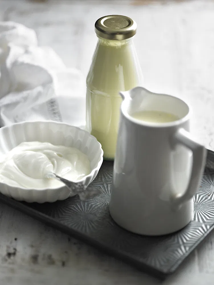 Sữa chua và sữa tách béo