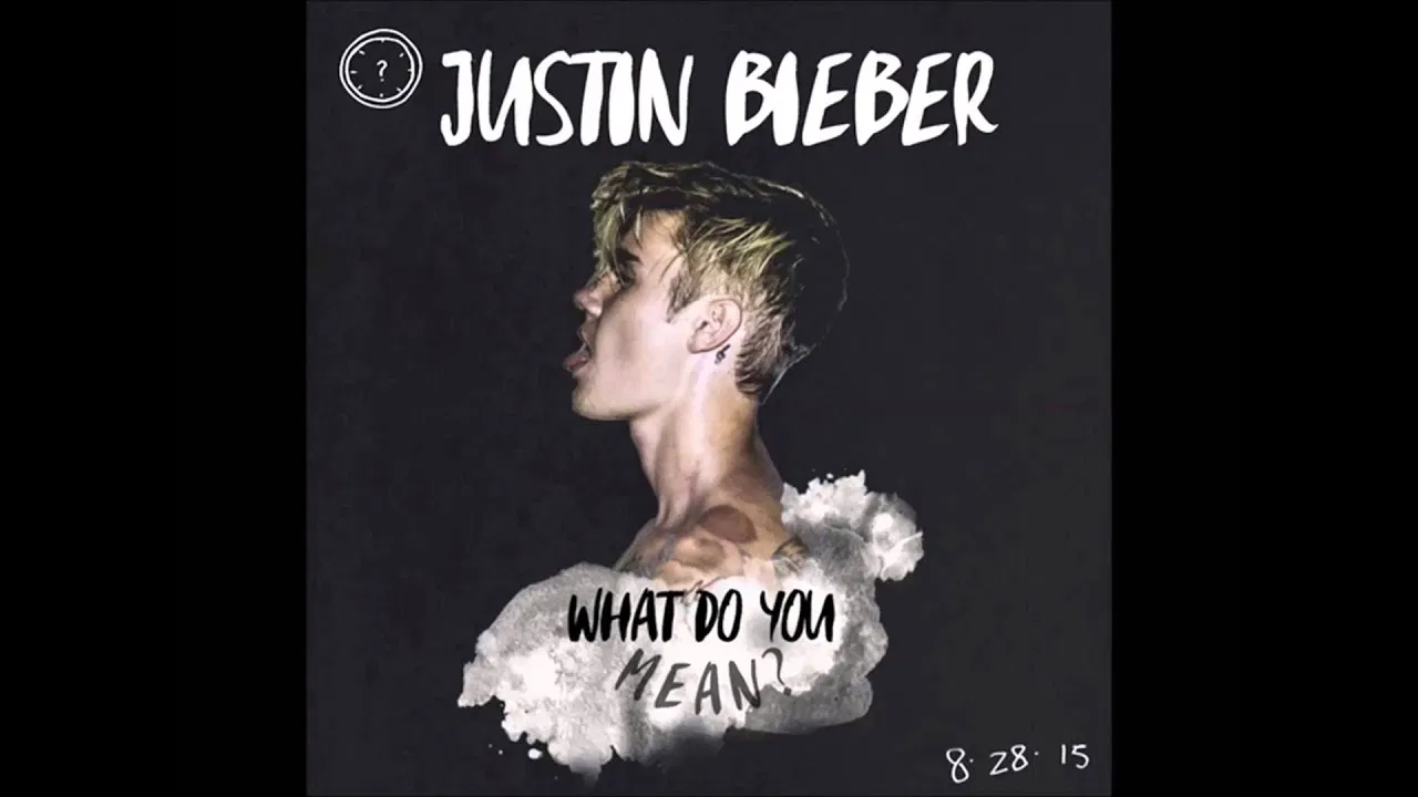 Bài hát What Do You Mean?. Nguồn: Internet