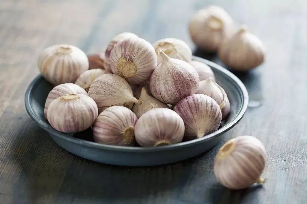 Tỏi