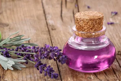 hông chỉ tốt cho tinh thần, oải hương còn hữu ích với mái tóc