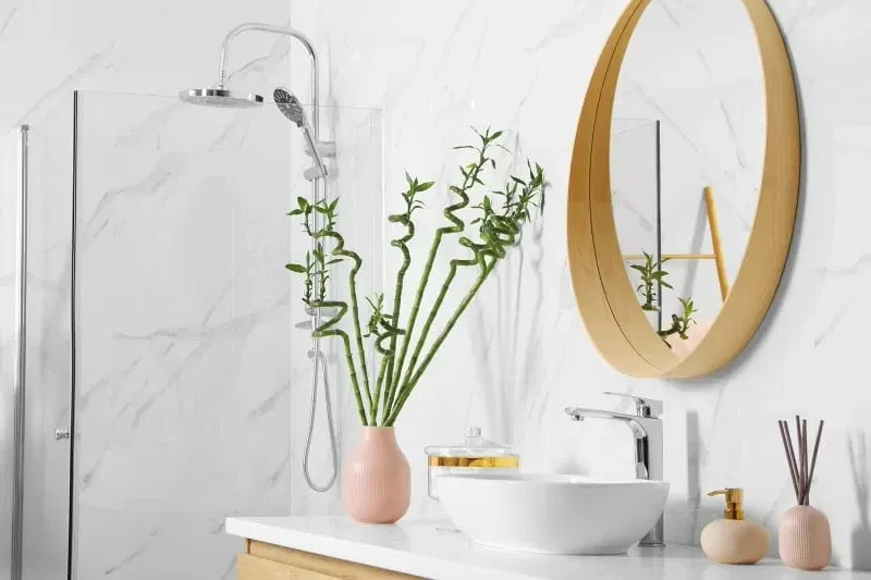 Đặt trúc phát tài trong phòng tắm