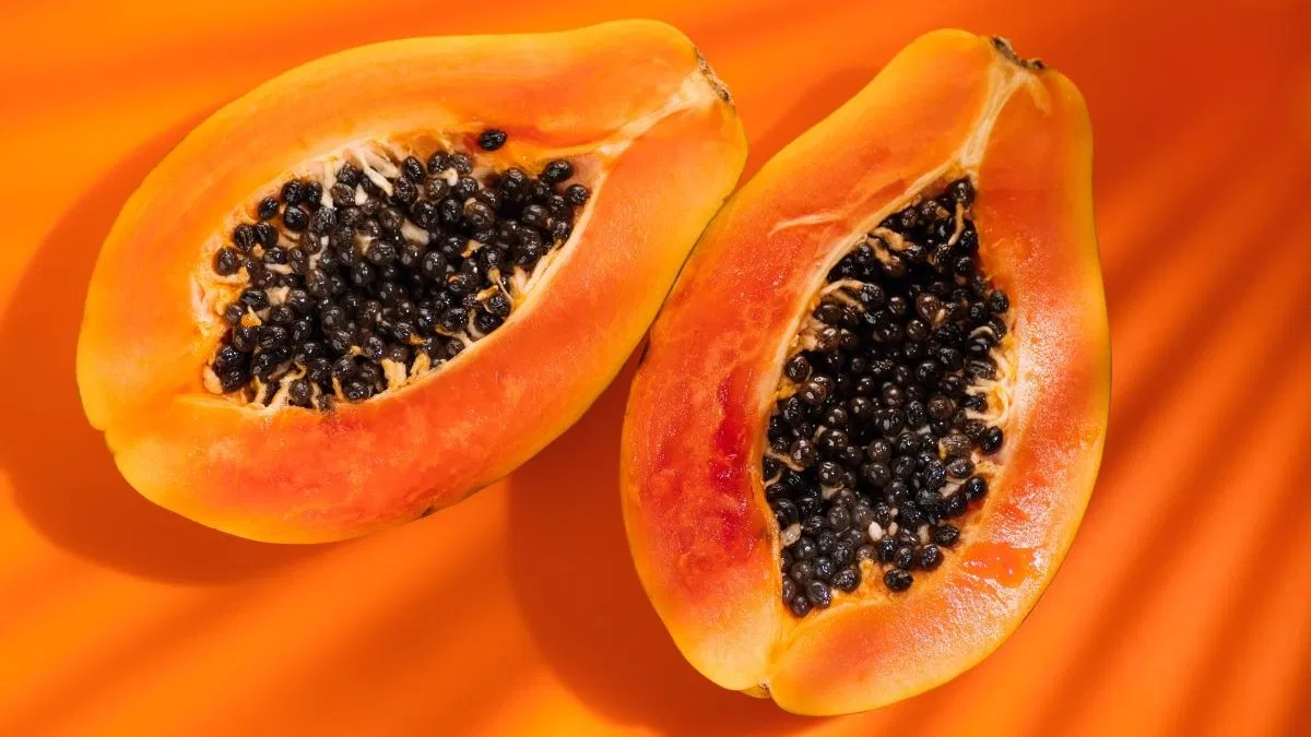 Khả năng chống oxy hóa