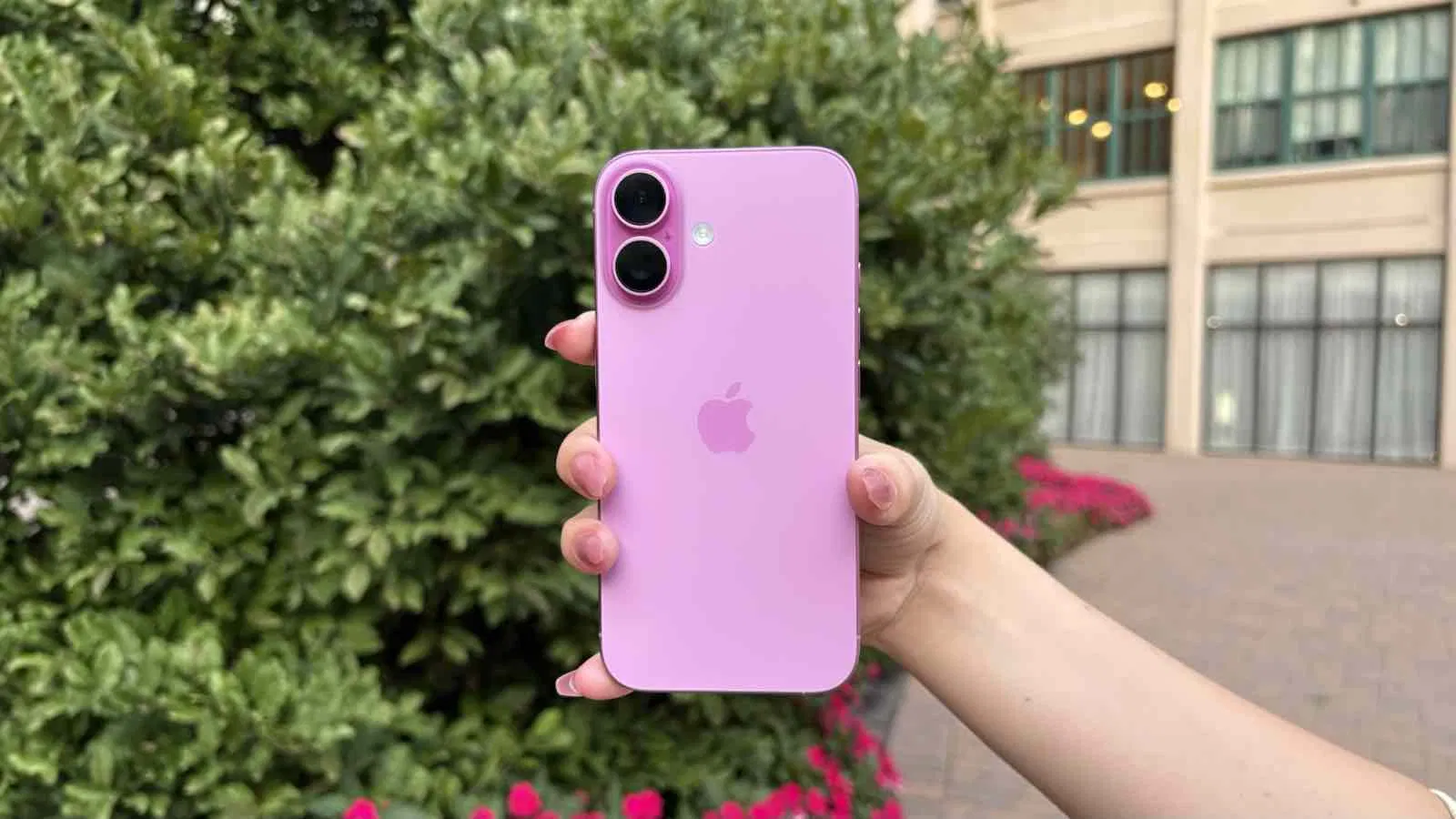 iPhone 17 tiêu chuẩn có giá 24.990.000 VNĐ, thấp hơn phiên bản Pro khoảng 10 triệu đồng (Ảnh: Internet)
