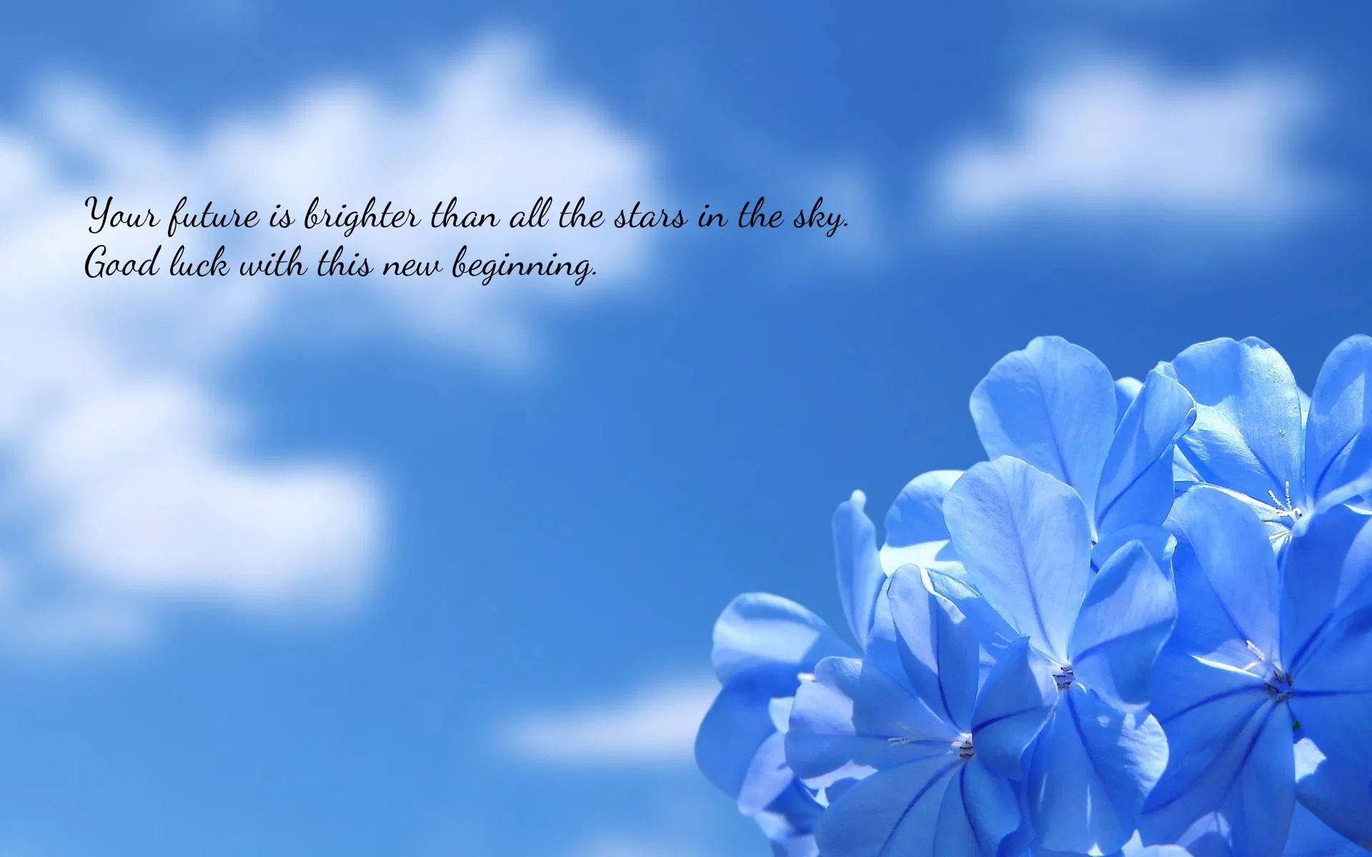 Your future is brighter than all the stars in the sky. Good luck with this new beginning. (Ảnh: Internet)