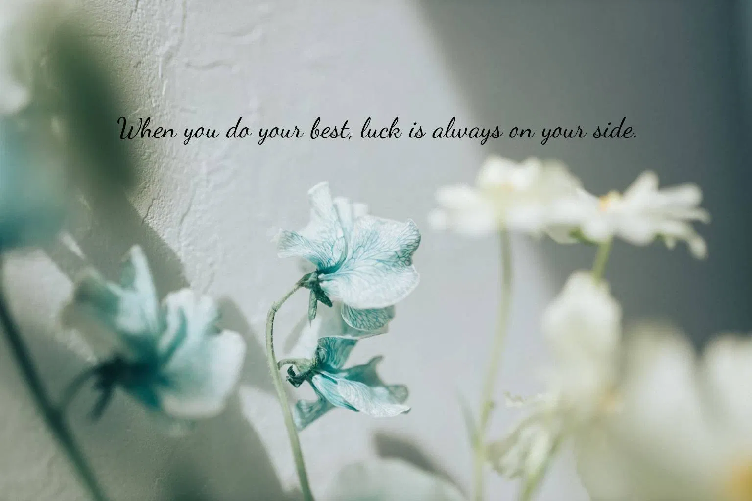 When you do your best, luck is always on your side.