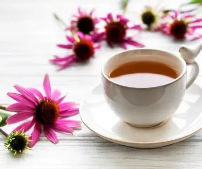 Giúp giảm căng thẳng và lo âu