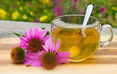 Trà Echinacea