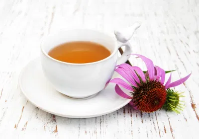 Một số nghiên cứu trên động vật cho thấy trà Echinacea có thể giúp ổn định lượng đường trong máu
