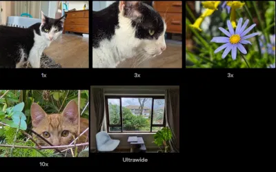 Ảnh được chụp bằng điện thoại Galaxy S25 FE (Ảnh: Internet) Ảnh được chụp bằng điện thoại Galaxy S25 FE (Ảnh: Internet)