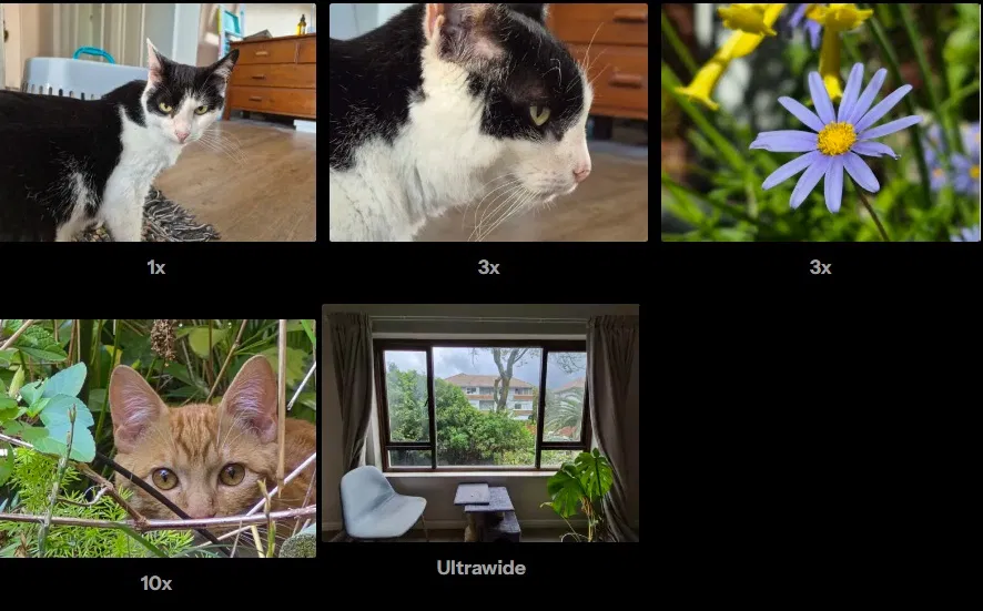 Ảnh được chụp bằng điện thoại Galaxy S25 FE (Ảnh: Internet)