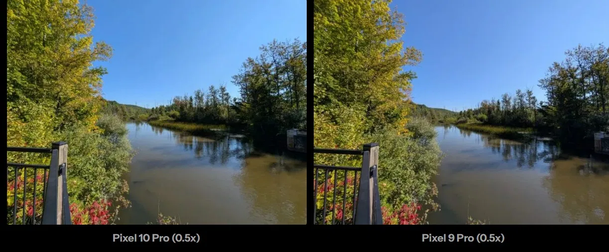 Ảnh một dòng suối được bao quanh bởi cây cối, chụp bằng Pixel 10 Pro và Pixel 9 Pro (Ảnh: Internet)