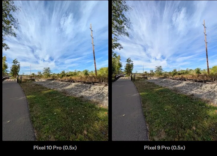 Ảnh đường mòn thiên nhiên chụp bằng Pixel 10 Pro và Pixel 9 Pro (Ảnh: Internet)