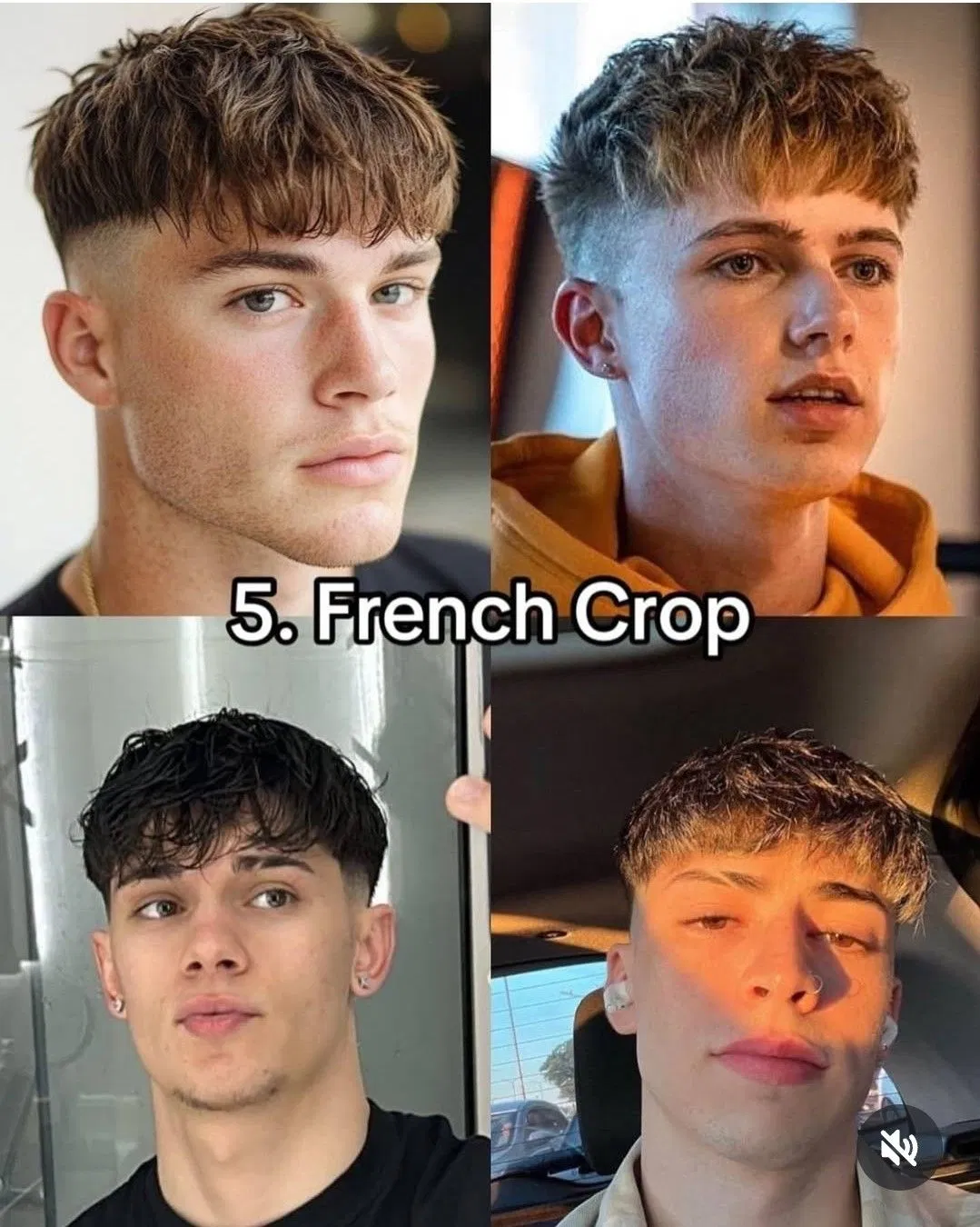 French Crop