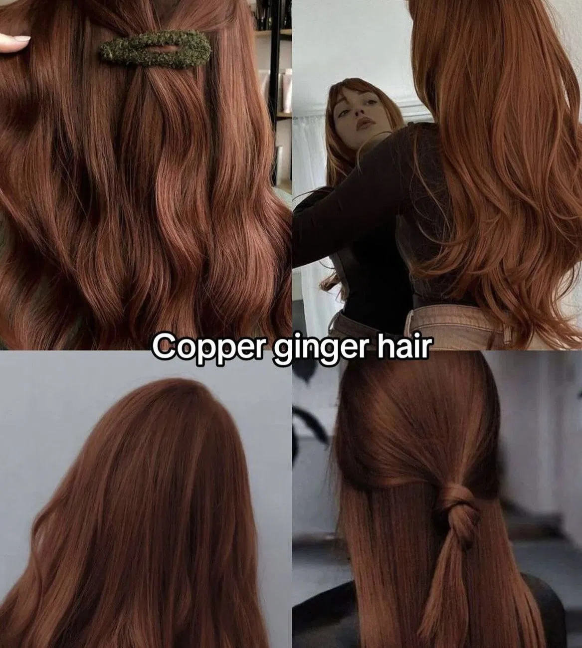 Copper Ginger