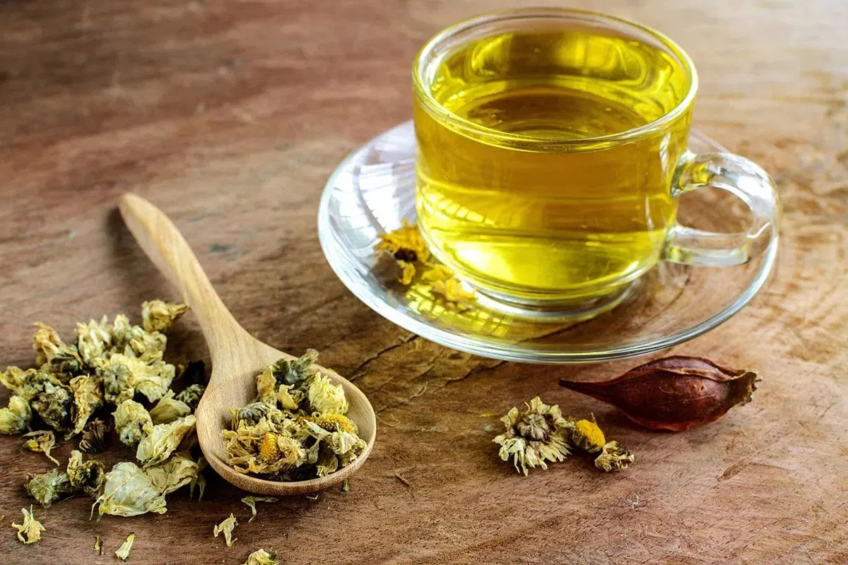Ngắm hoa cúc, uống trà hoa cúc