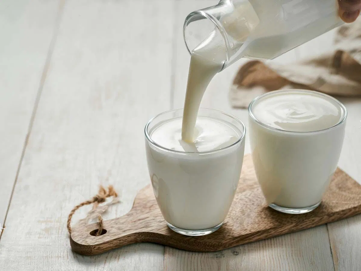 Kefir