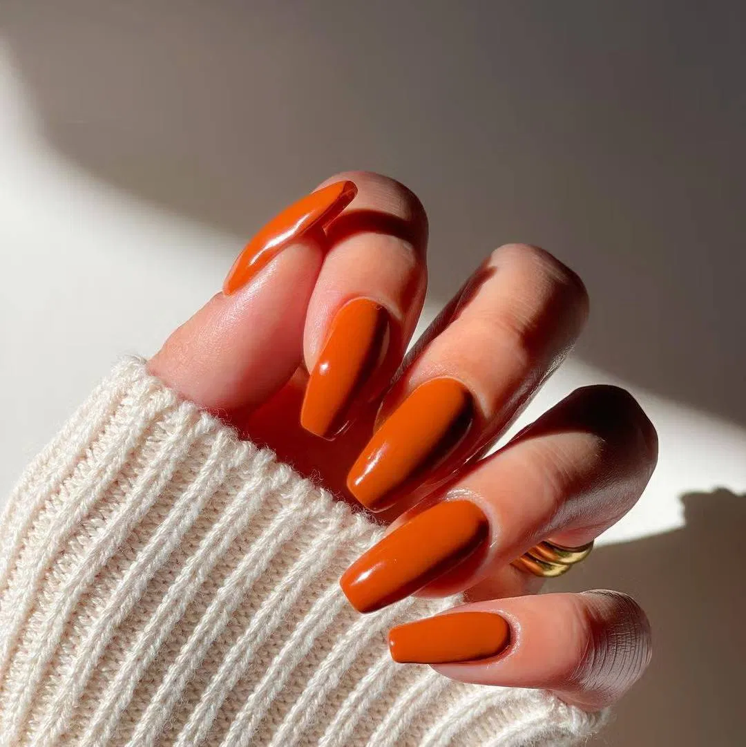 Cam bí ngô ,Pumpkin Spice