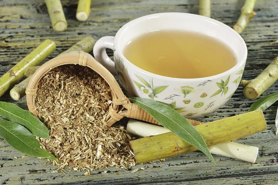 Trà vỏ cây liễu