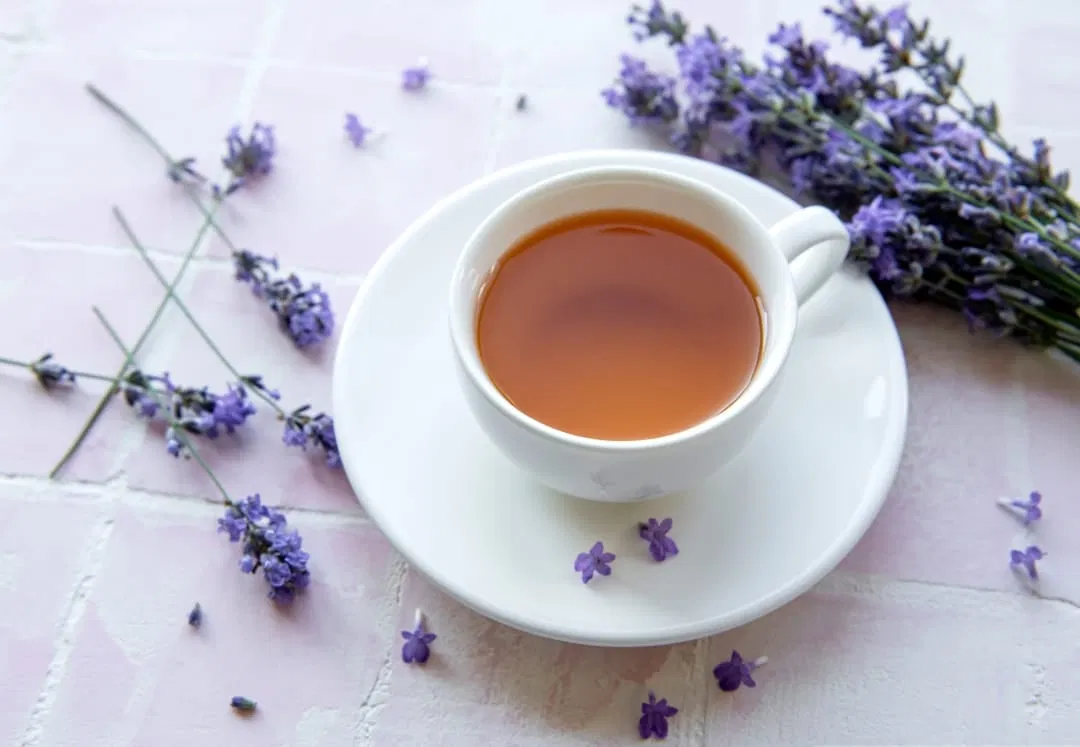 Trà oải hương