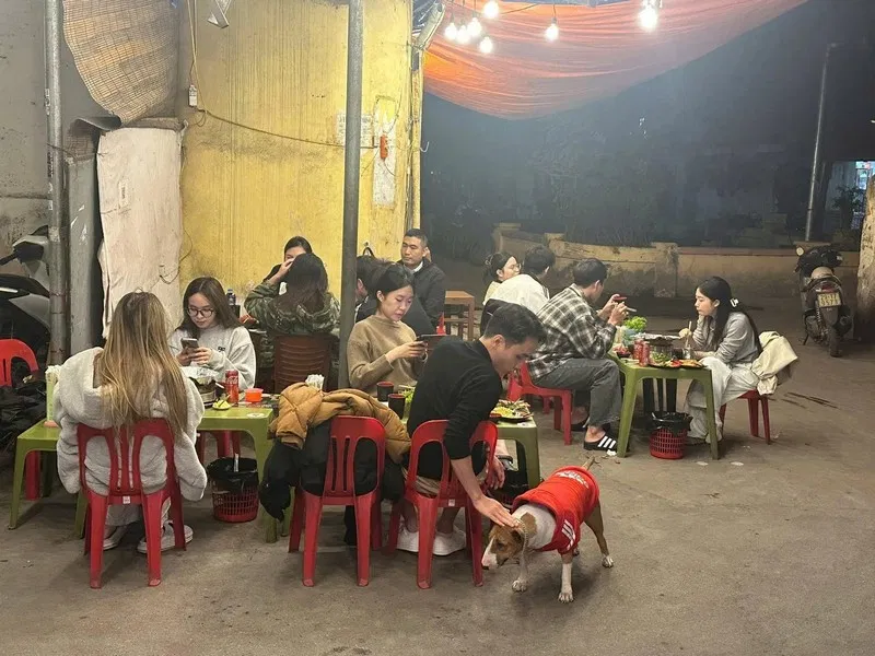 Quán nướng ở Hà Nội bất ngờ đông khách nhờ chú chó nghi là nguyên mẫu nhân vật game Brother Hai’s Pho Restaurant (Nguồn: Internet)