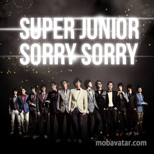 Bài hát Sorry, Sorry. Nguồn: Internet