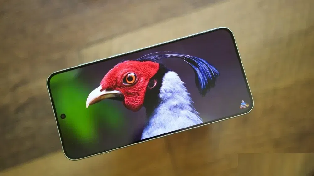 Xem video trên điện thoại OnePlus 15R (Ảnh: Internet)