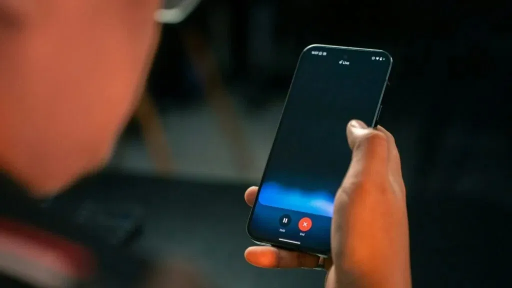 Gemini Voice (Ảnh: Internet)