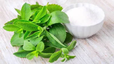 Hỗ trợ giảm cân
