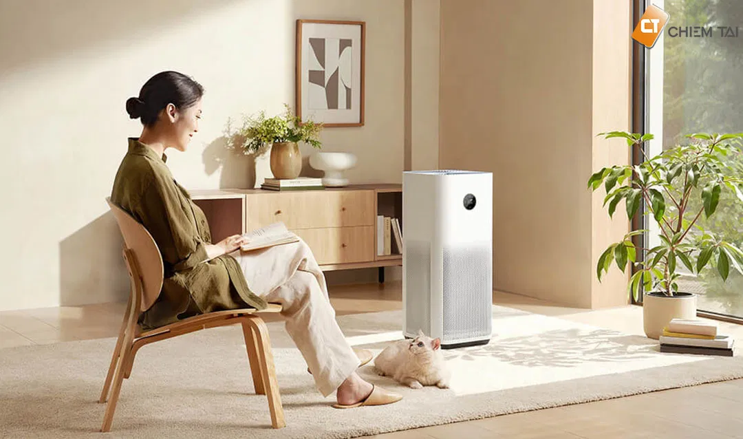 Sử dụng máy tạo độ ẩm