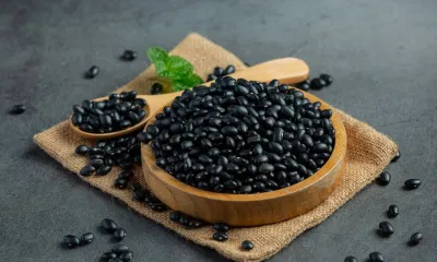 Đậu đen là nguồn protein thực vật dồi dào