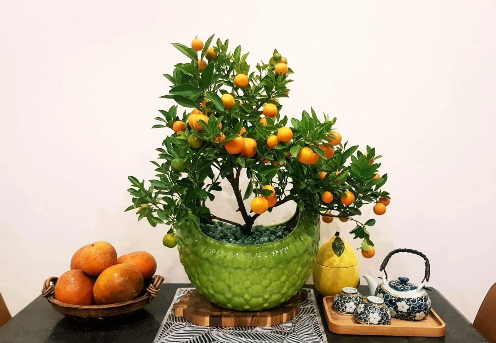 Cây họ cam quýt